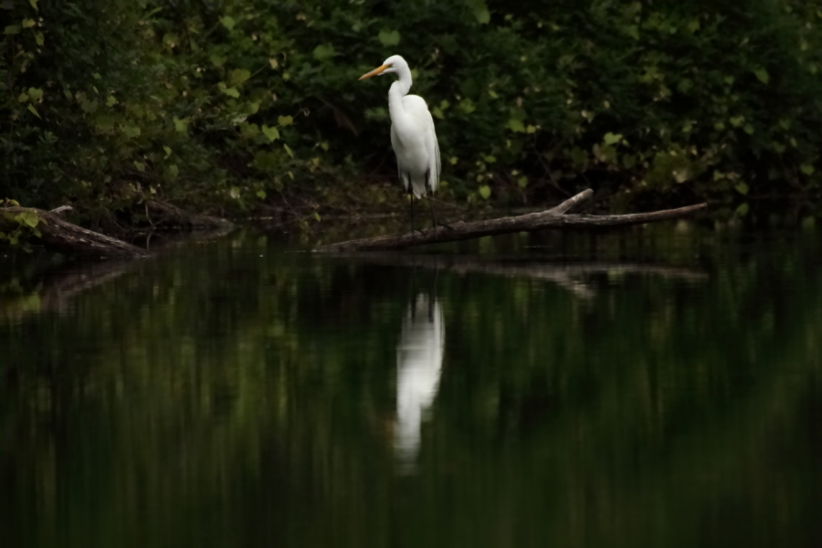 2013 05 22 IMG 07496e